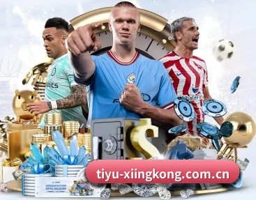 了解平台 - 体育资讯内容服务 - xingkong